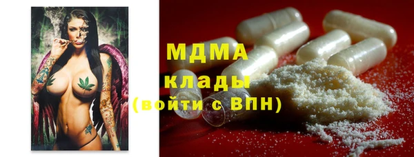 прущие грибы Алзамай