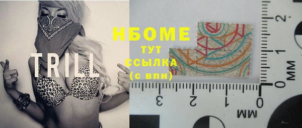 прущие грибы Алзамай