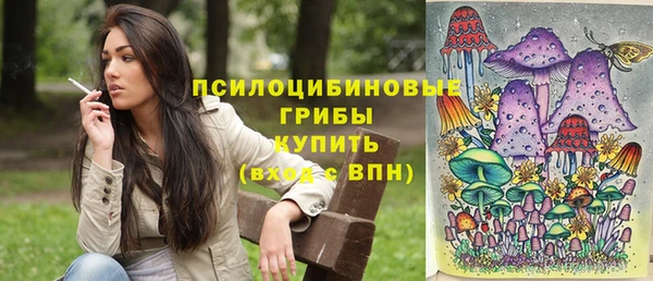 прущие грибы Алзамай