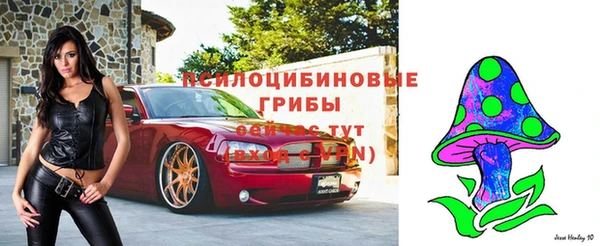 спиды Алексеевка
