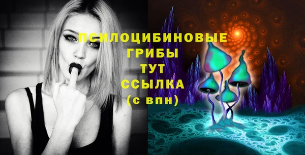 спиды Алексеевка