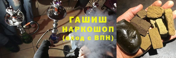 прущие грибы Алзамай